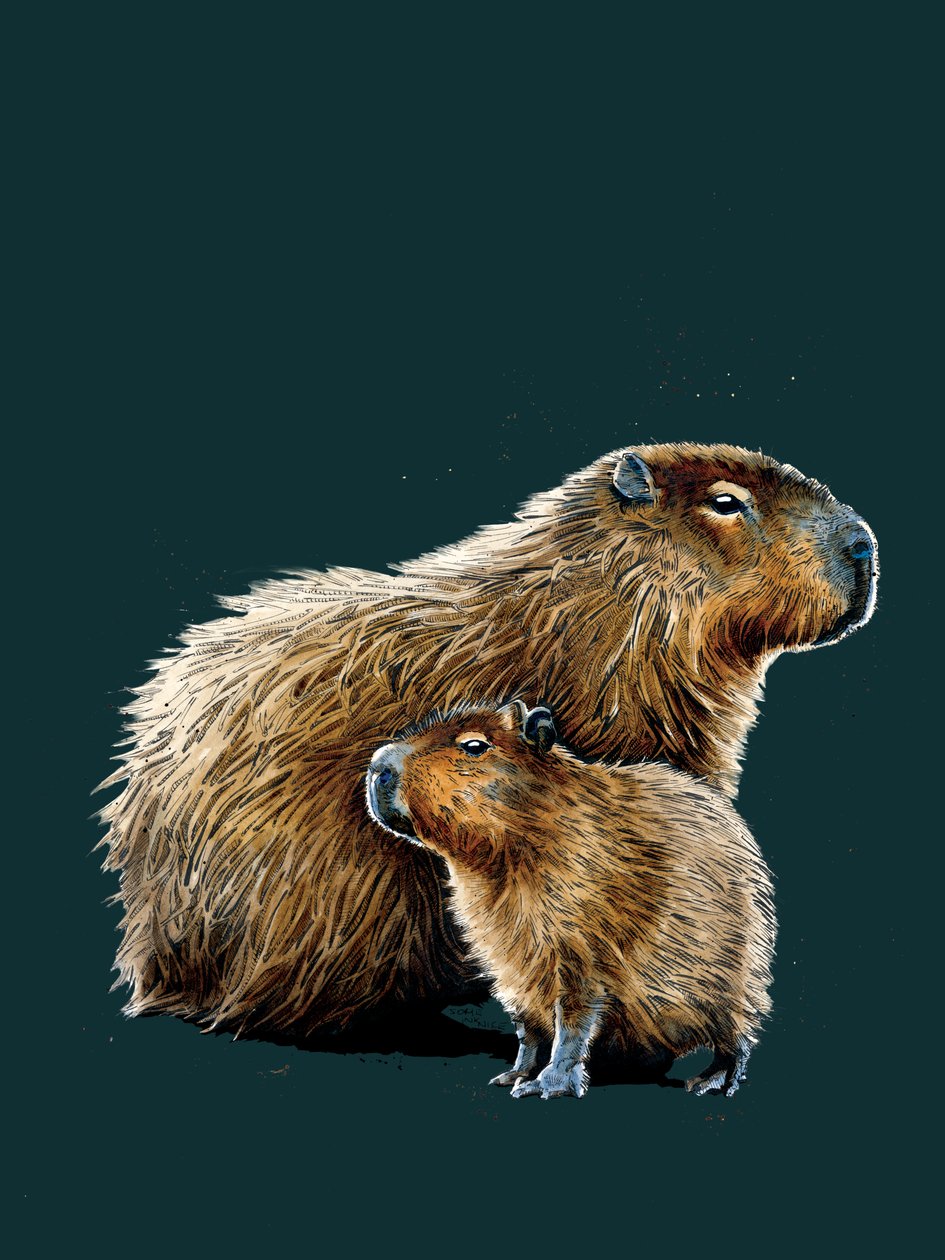 De Capibara