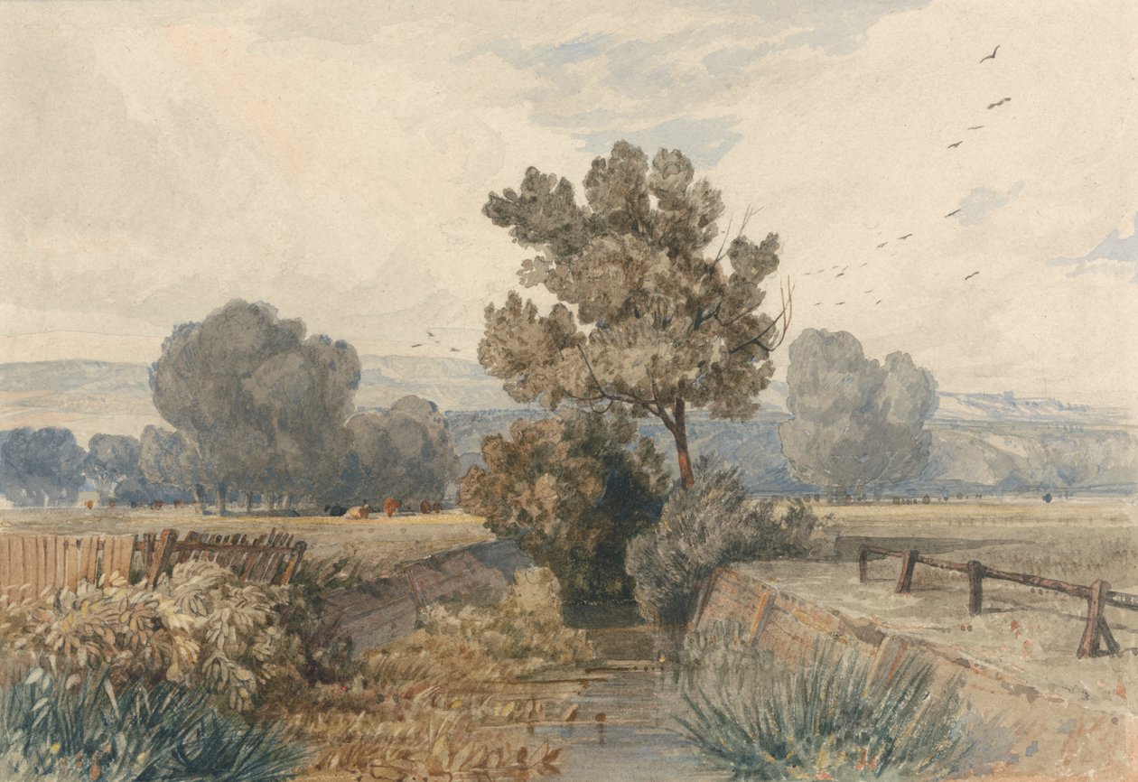 Scène in Elmham, Norfolk door Miles Edmund Cotman