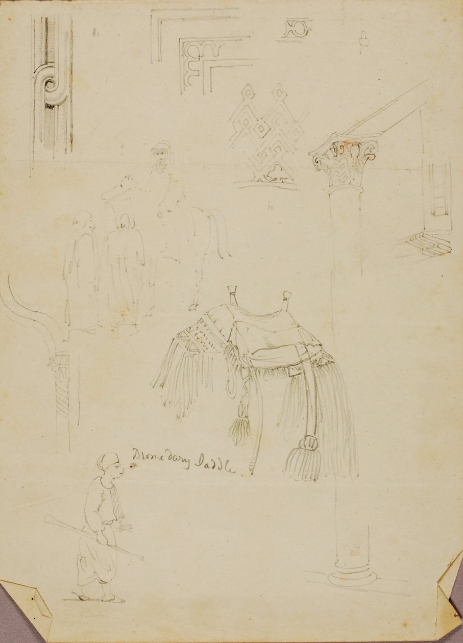 Dromedaris Zadel/Studies door Miner Kilbourne Kellogg
