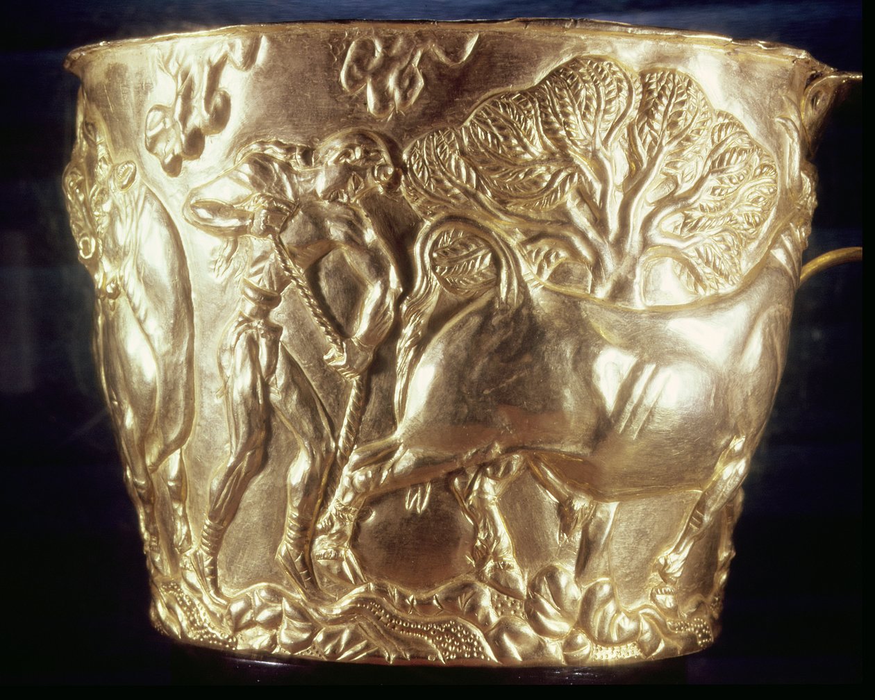 Beker, met afbeelding van een huiselijke stier, gevonden in het koninklijke graf van Vaphio, Sparta, laat Minoïsch I, ca. 1500 v.Chr. (goud) door Minoan