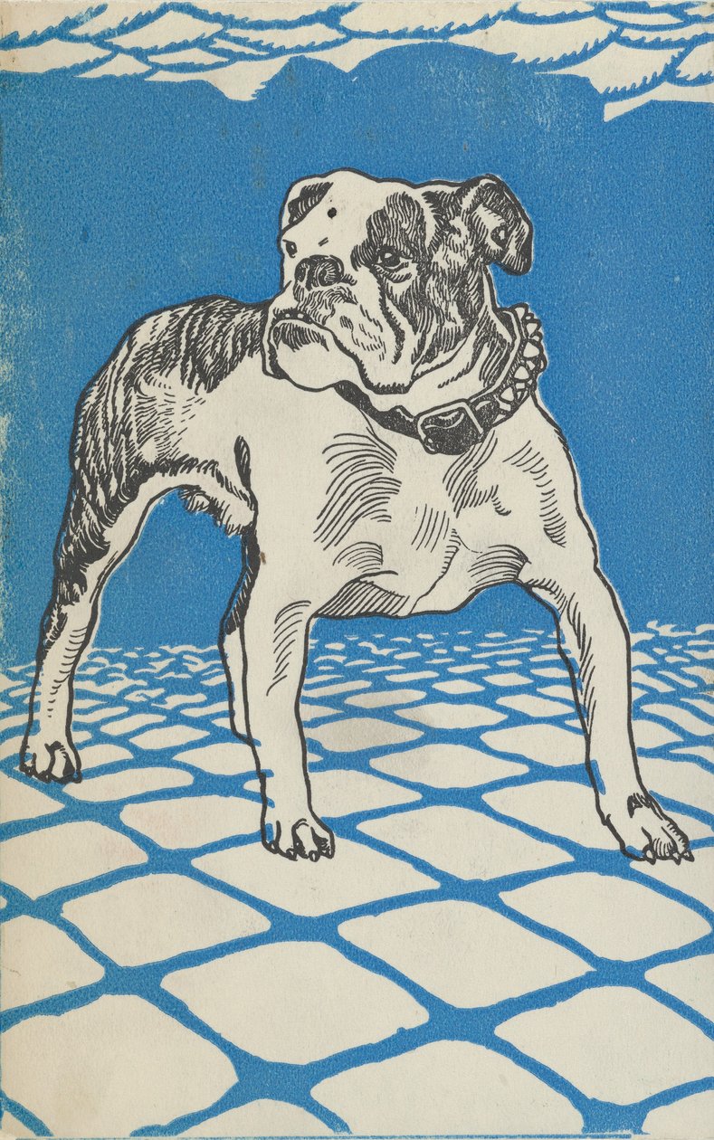 Bulldog door Moritz Jung