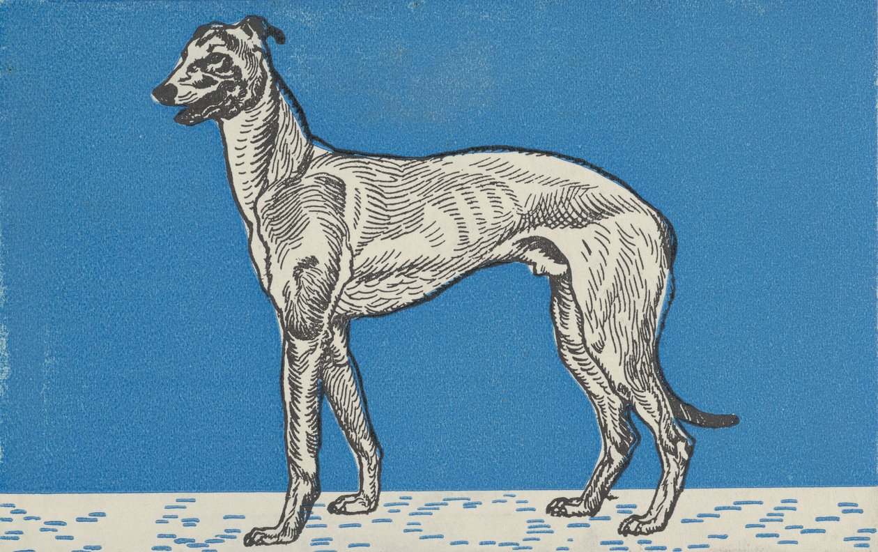 Windhond, 1912 door Moritz Jung