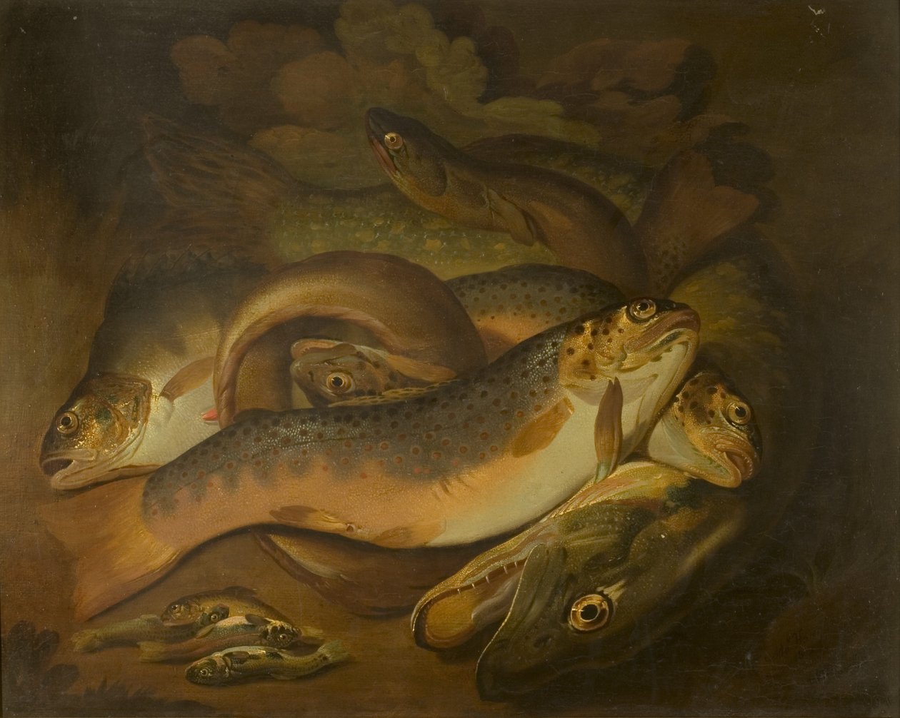 Vissen door Moses Haughton