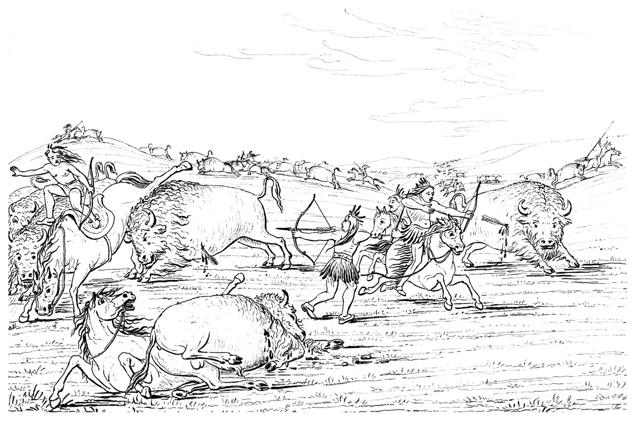 Inheemse Amerikanen jagen op buffels, 1841 door Myers and Co