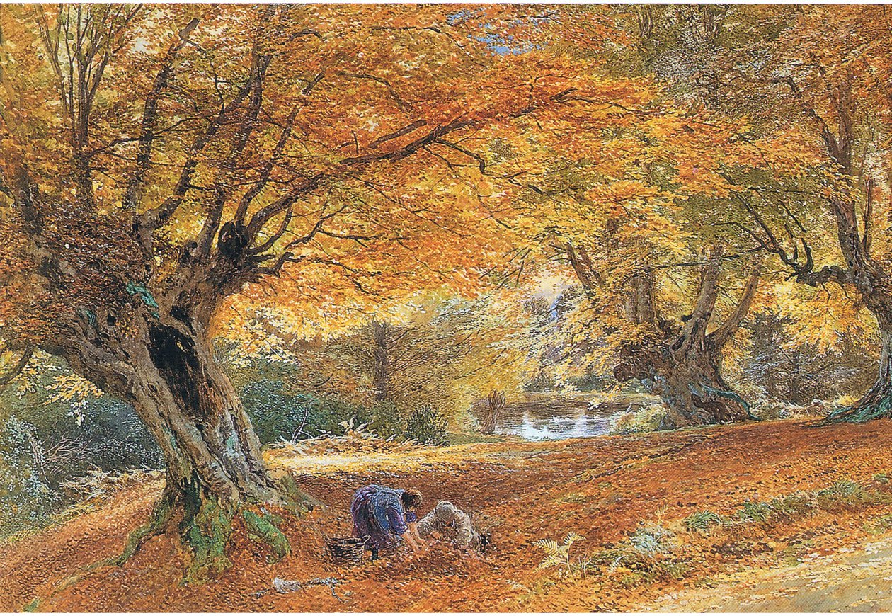 Burnham Beeches door Myles Birket Foster