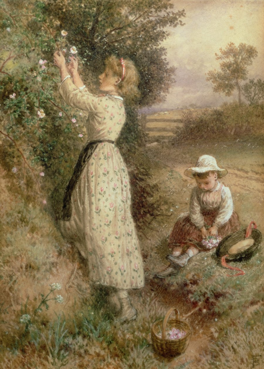 Wilde Rozen door Myles Birket Foster