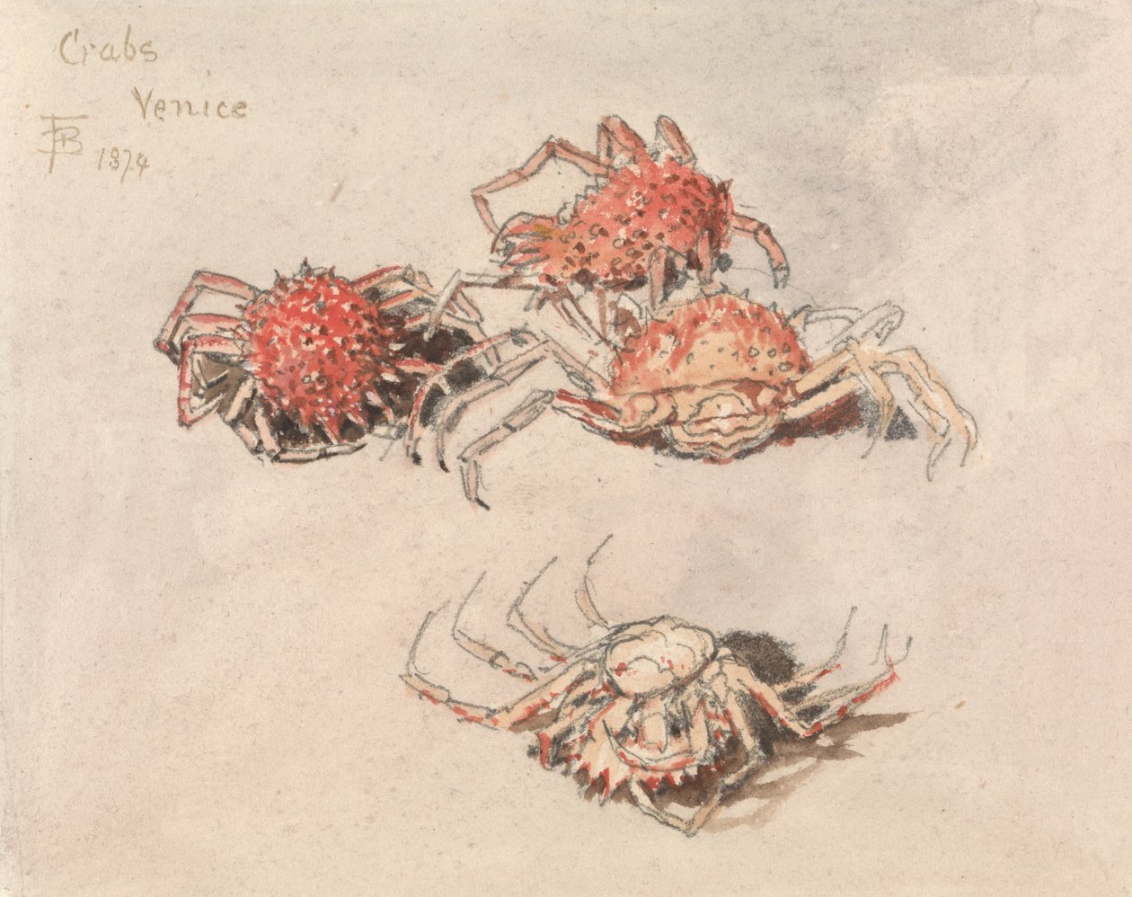 Studies van Spin Krabben, Venetië door Myles Birket Foster