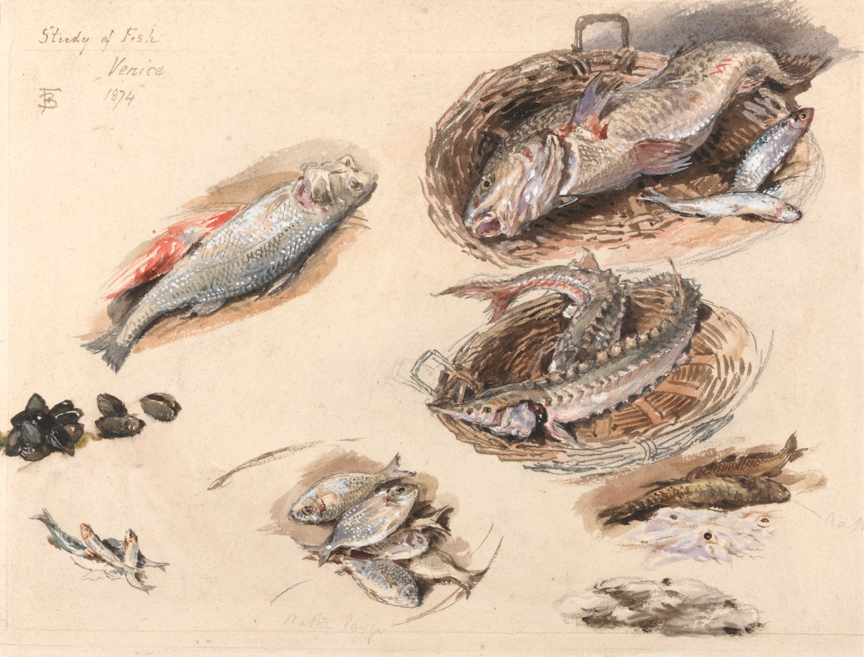 Studie van vis, Venetië door Myles Birket Foster