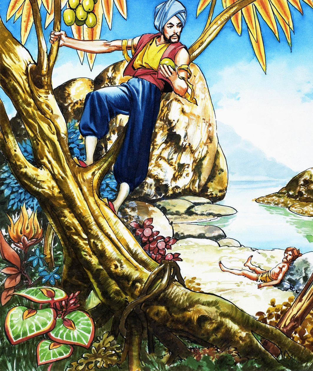 Sinbad de zeeman door Nadir Quinto