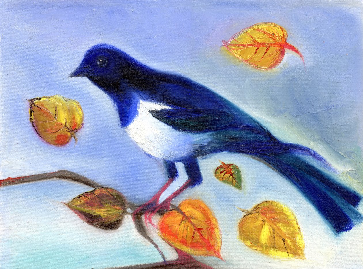 Herfst Ekster door Nancy Moniz Charalambous