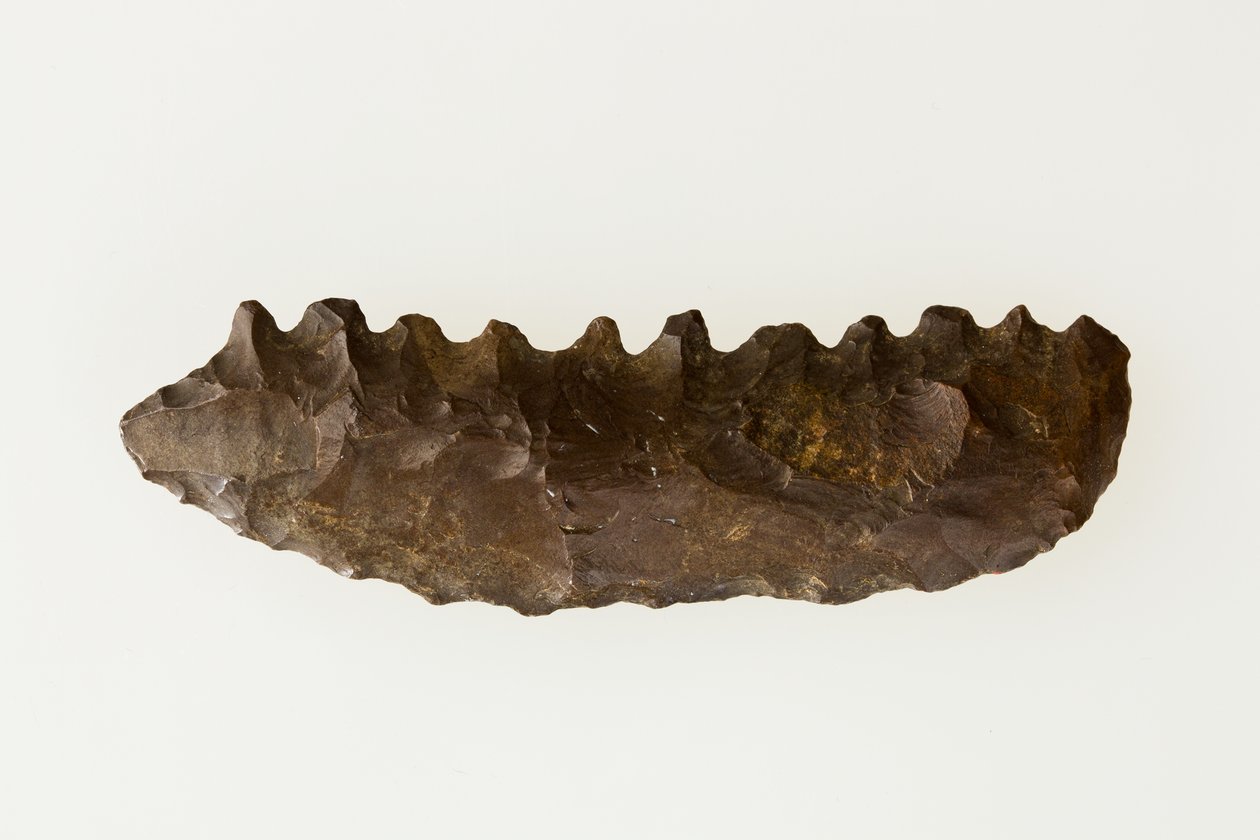 Bifaciale sikkel, c.4500-4000 v.Chr. door Neolithic Neolithic