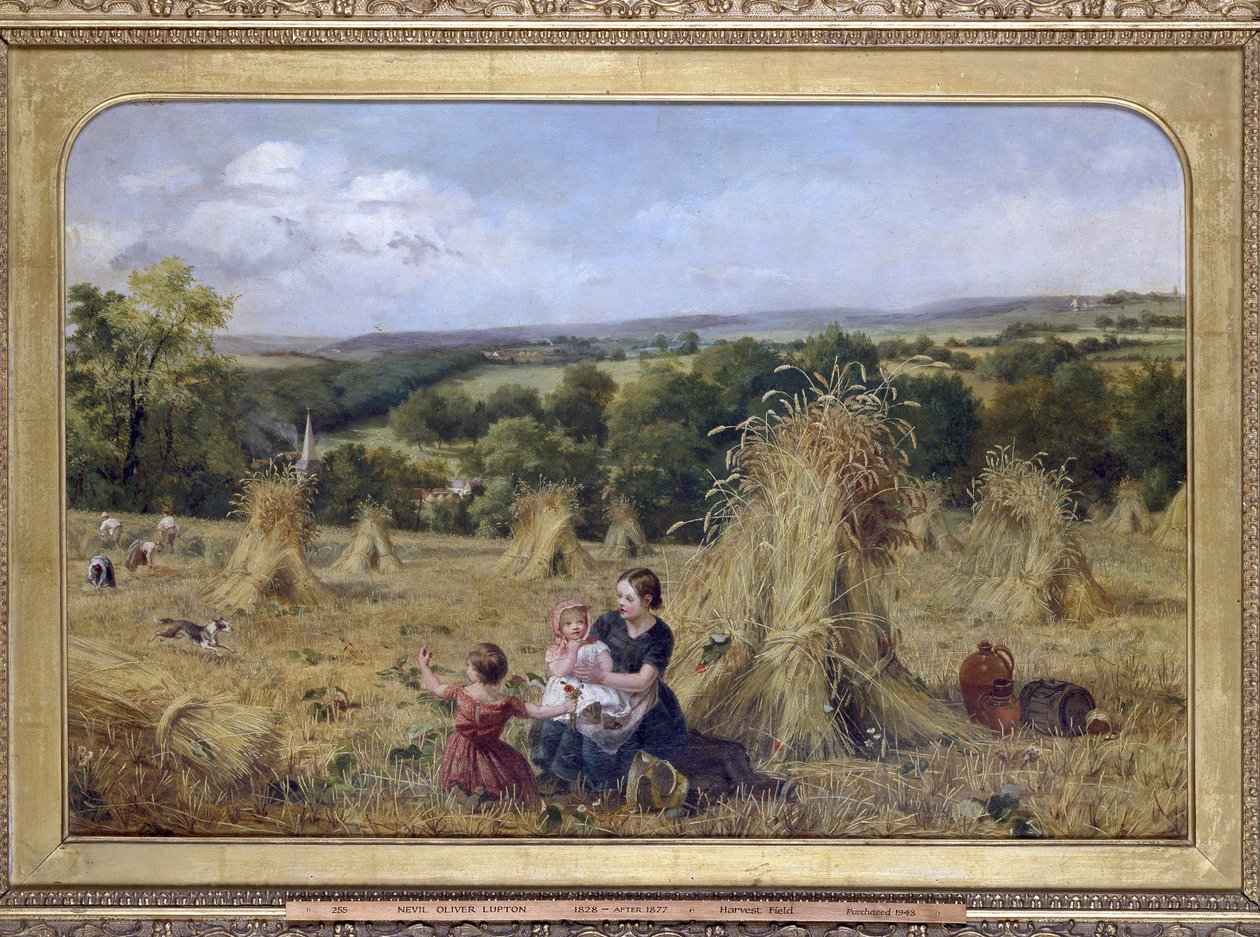 Het Oogstveld, 1857 - 1858 door Nevil Oliver Lupton