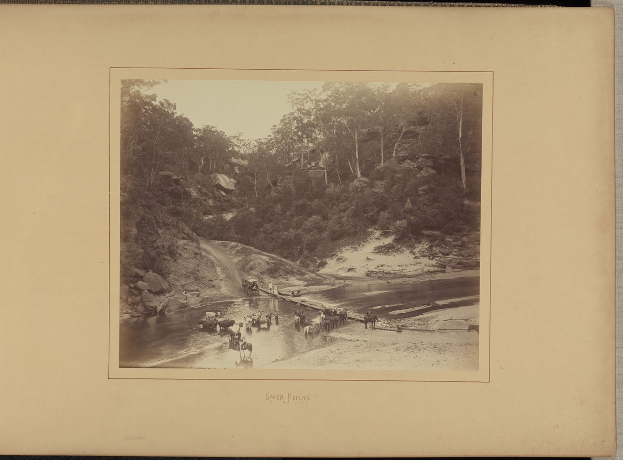 Boven Nepean door New South Wales Government Printing Office