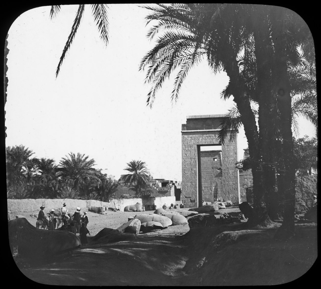 Laan van Sfinxen, Karnak, Egypte, c1890 door Newton and Co