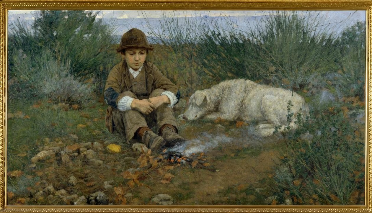 In het bos door Niccolo Cannicci