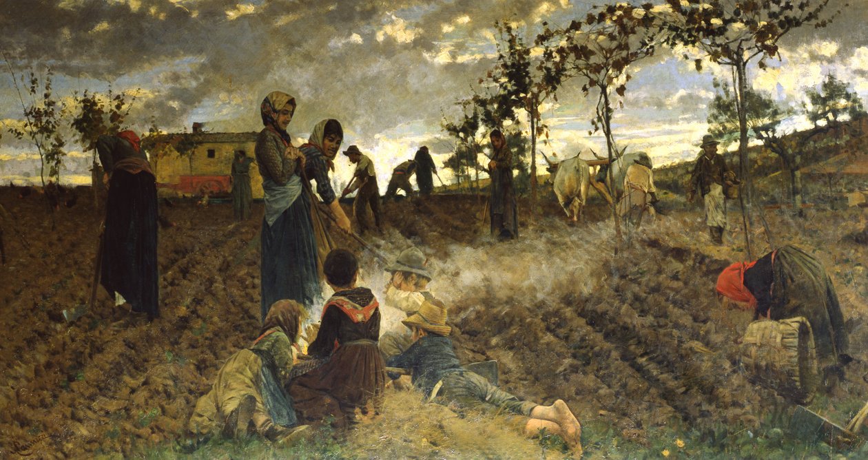 Zaaien in Toscane door Niccolo Cannicci