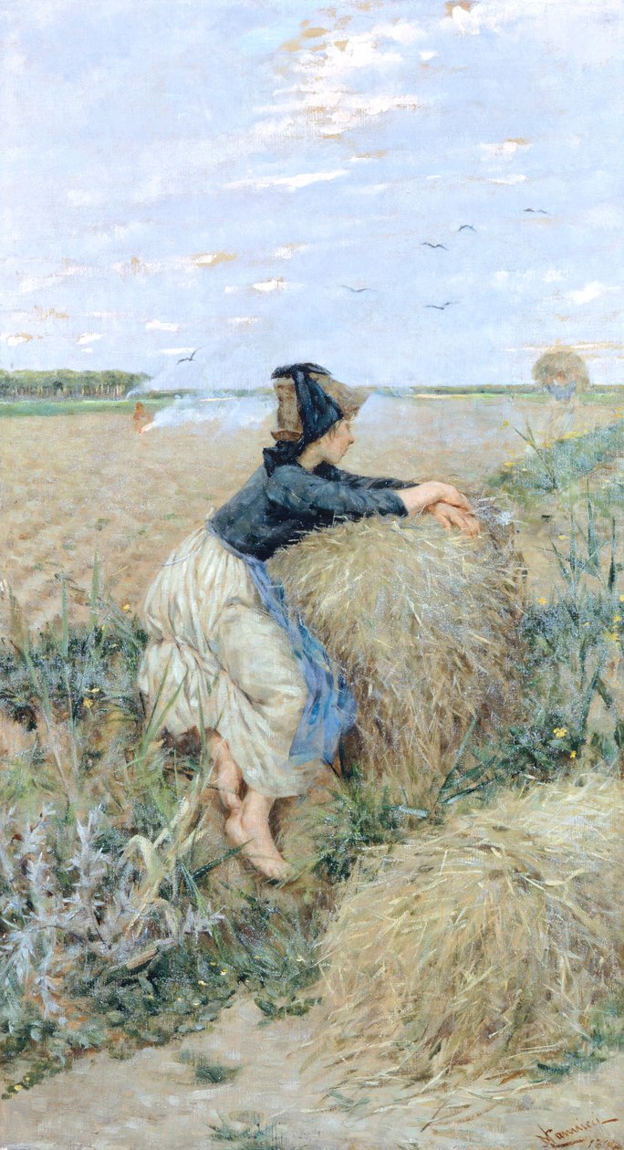 Tarwegras in Tombolo door Niccolo Cannicci