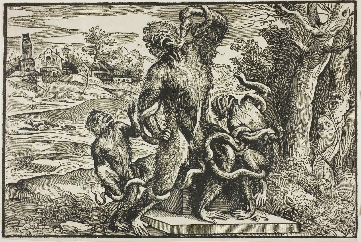 Laocoön door Nicolò Boldrini
