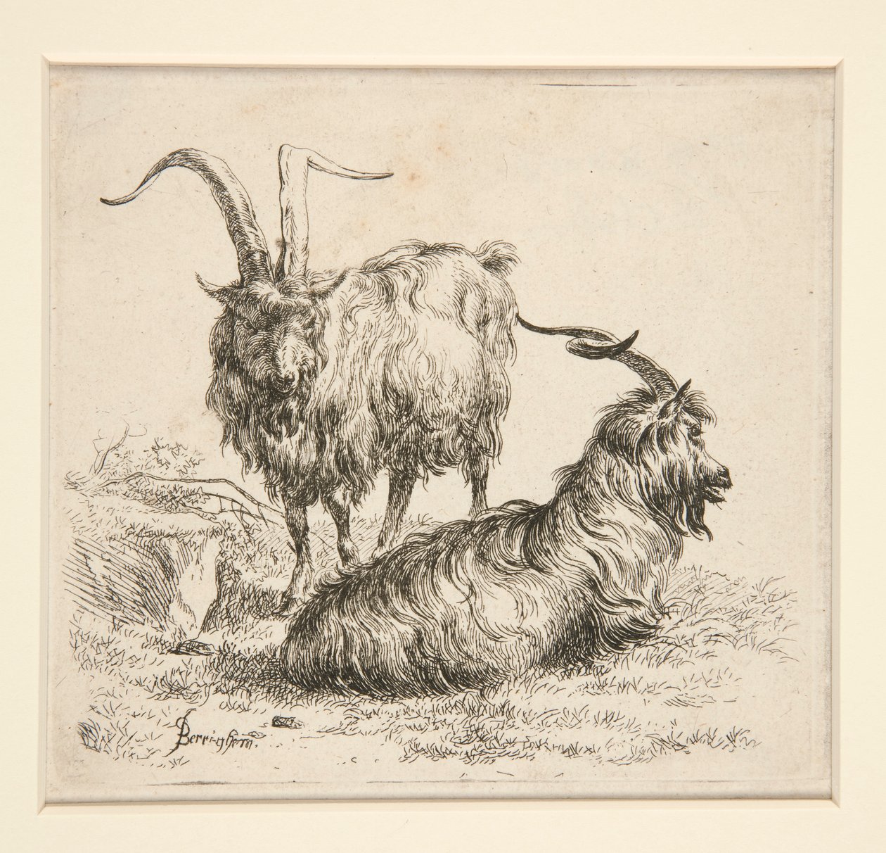 Geiten (uit door Nicolaes Berchem