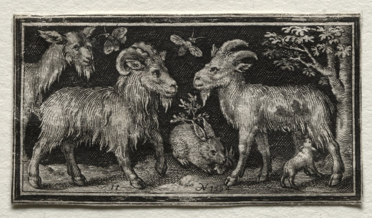Geiten en haas door Nicolaes de Bruyn