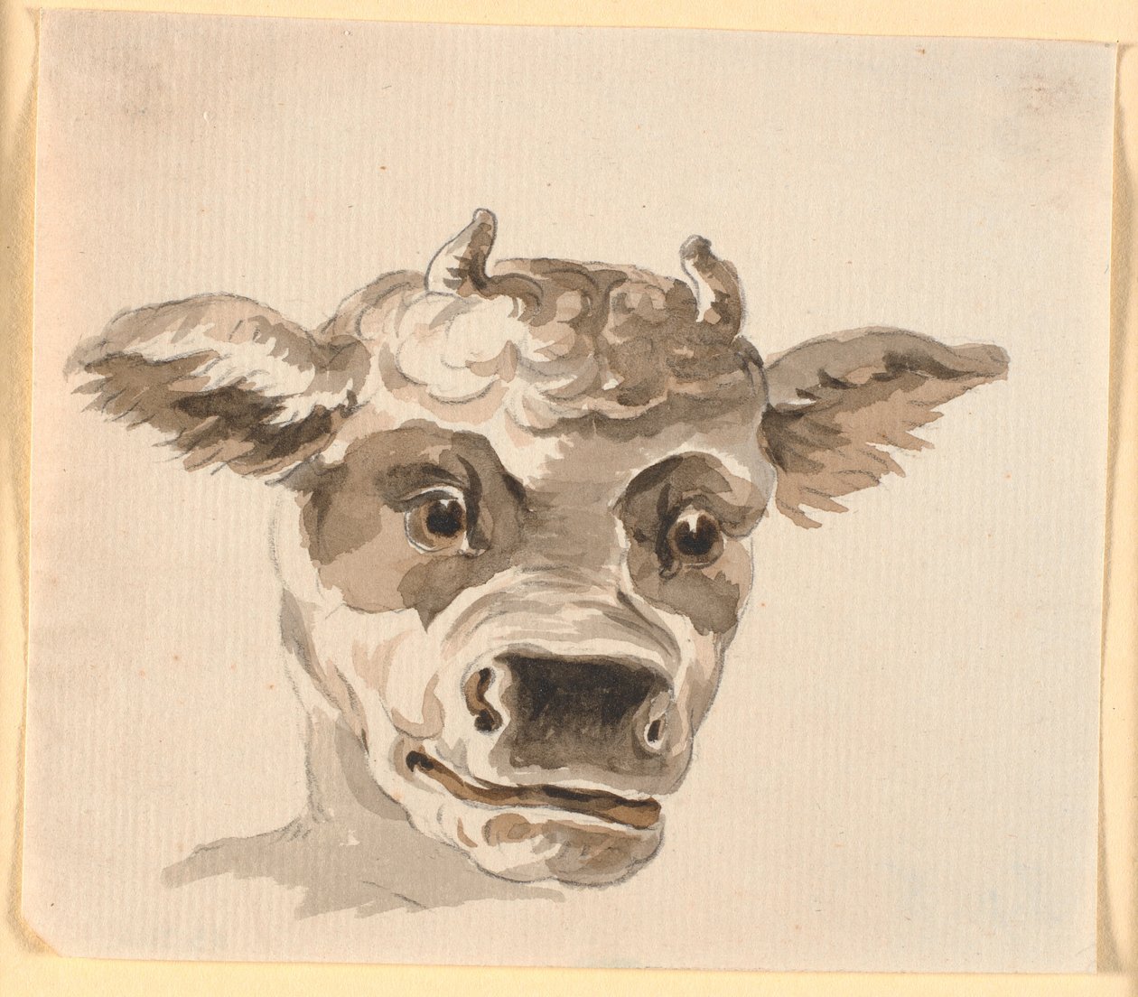 Hoofd van de Minotaurus door Nicolai Abildgaard