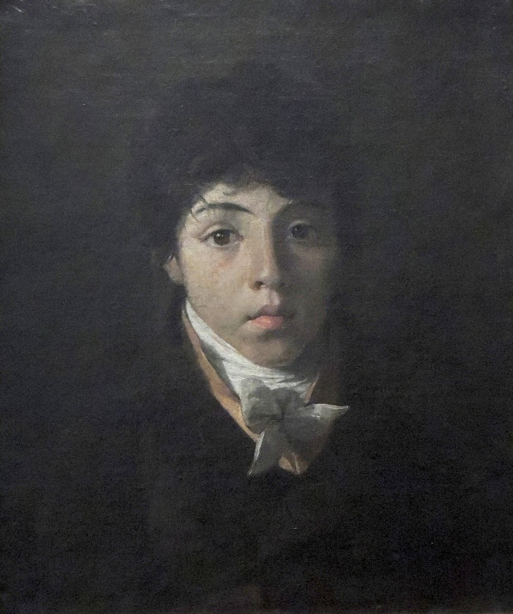 Portret van de jonge Teodoro Taunay door Nicolas Antoine Taunay