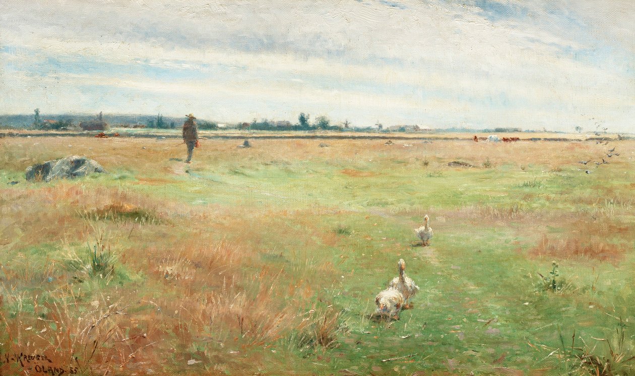 Landschap met ganzen, Morbylanga door Nils Kreuger