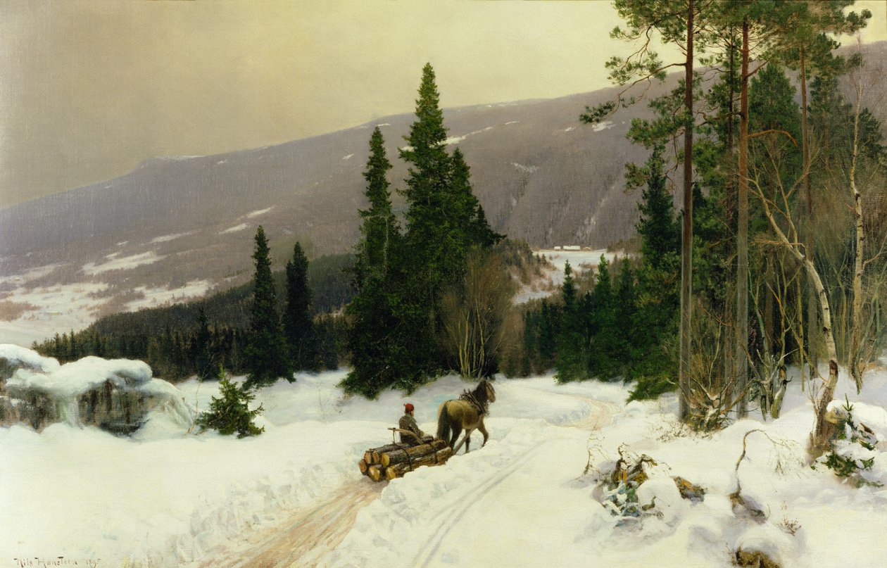 Winter door Nils Hansteen