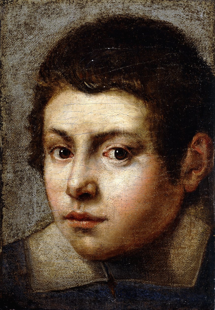 Hoofd van een jongen door Northern Italian School