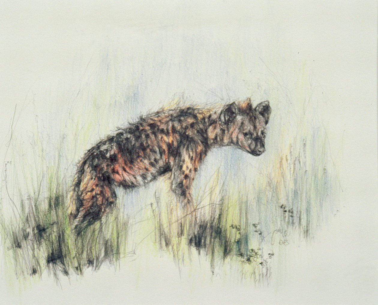 Baby Hyena door Odile Kidd