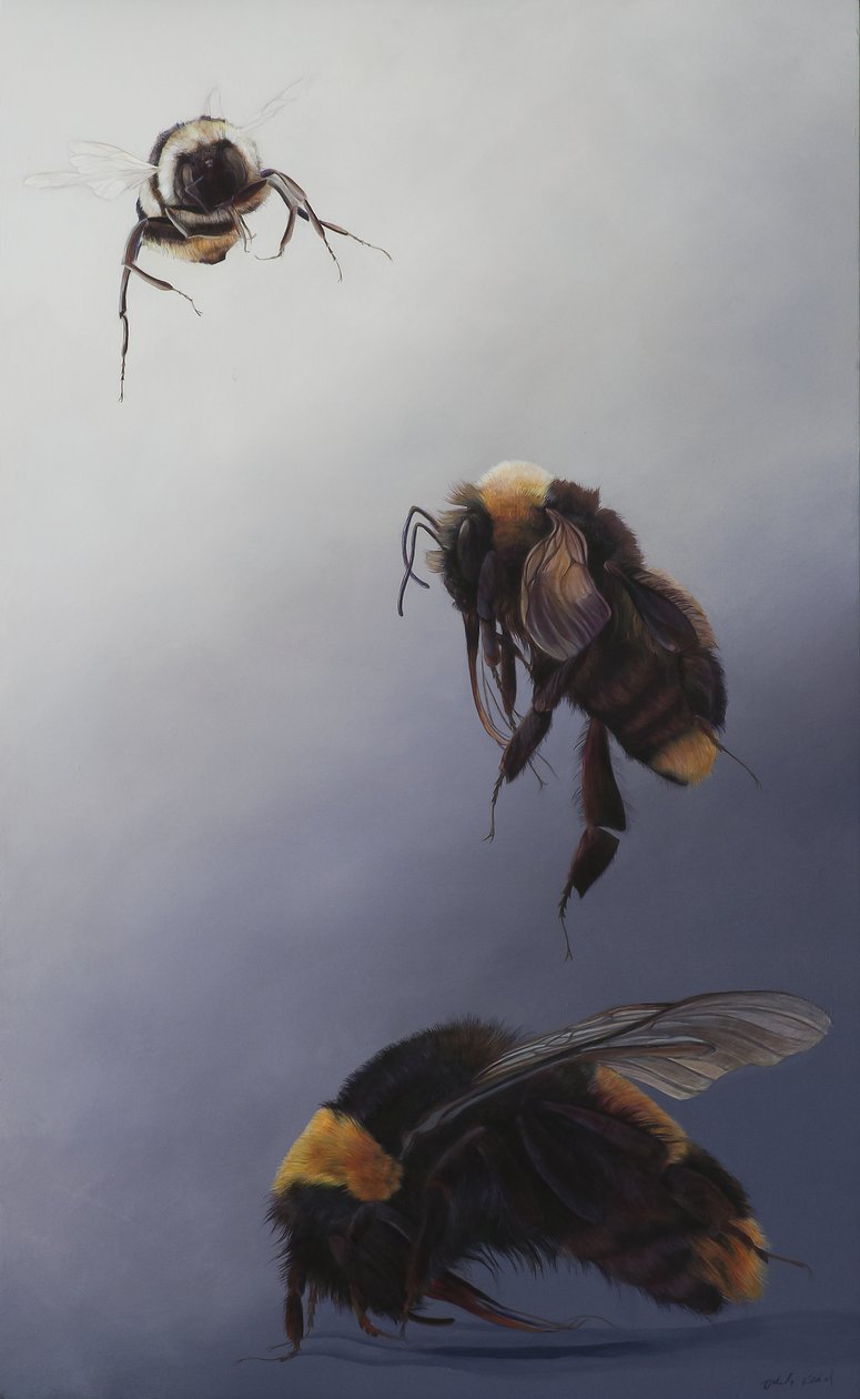 Bombus vlucht 2, 2011 (acryl op hout) door Odile Kidd