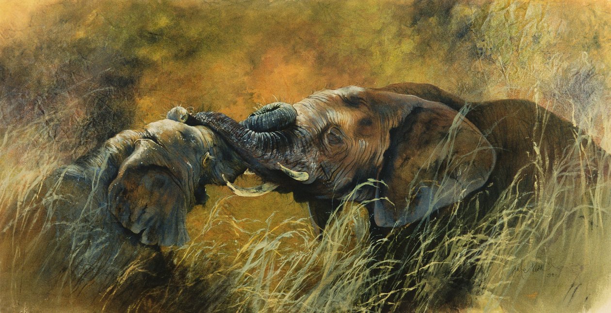Bundu door Odile Kidd