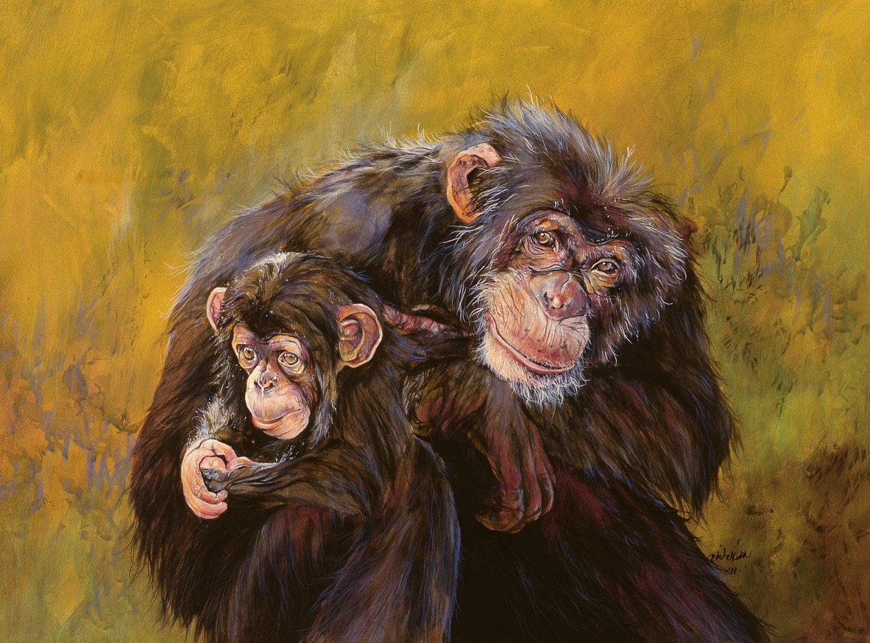 Chimpansees (acrylverf op doek) door Odile Kidd