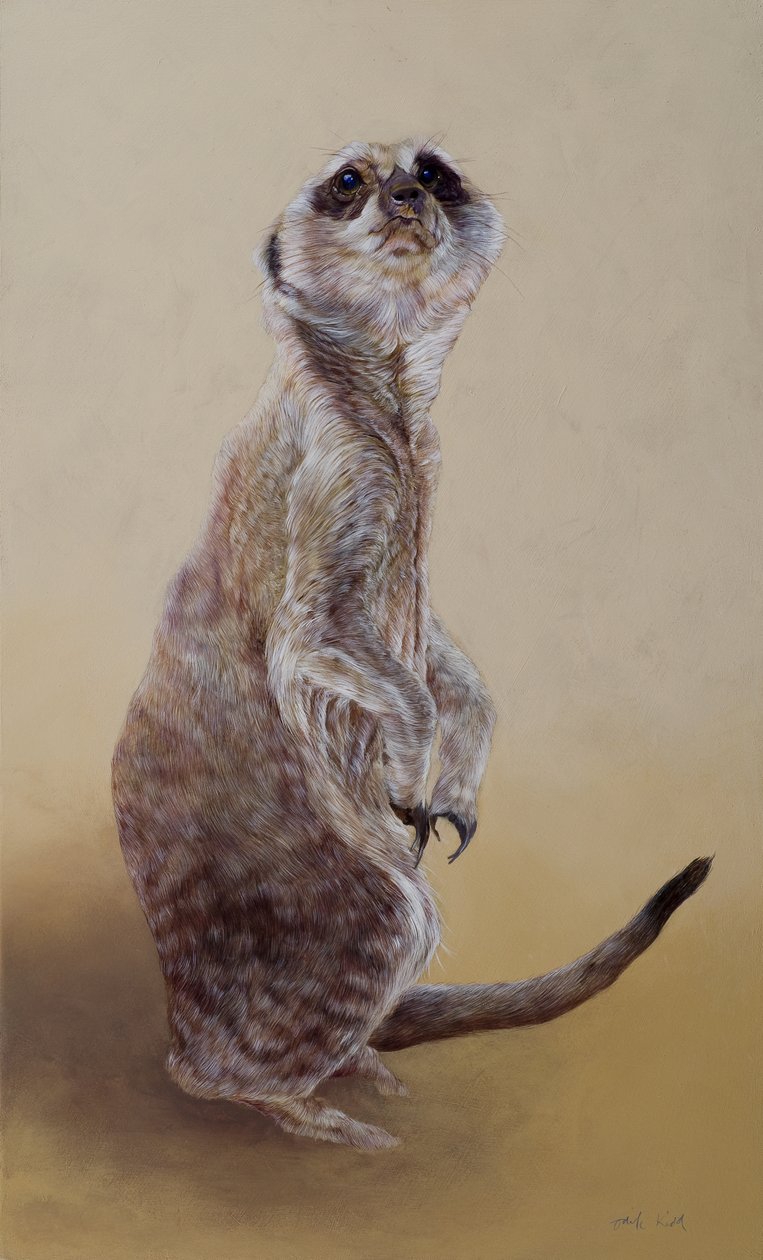 Stokstaartje 2, 2010 (acryl op hout) door Odile Kidd