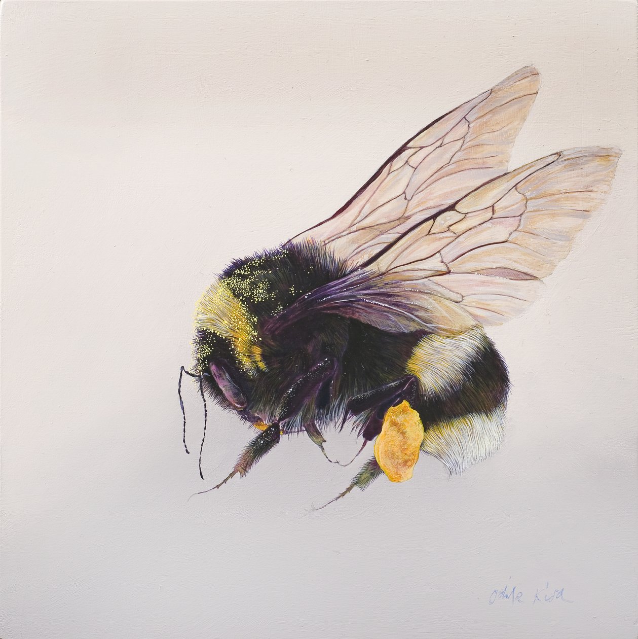 Stuifmeelzak 2, 2011 (acryl op hout) door Odile Kidd