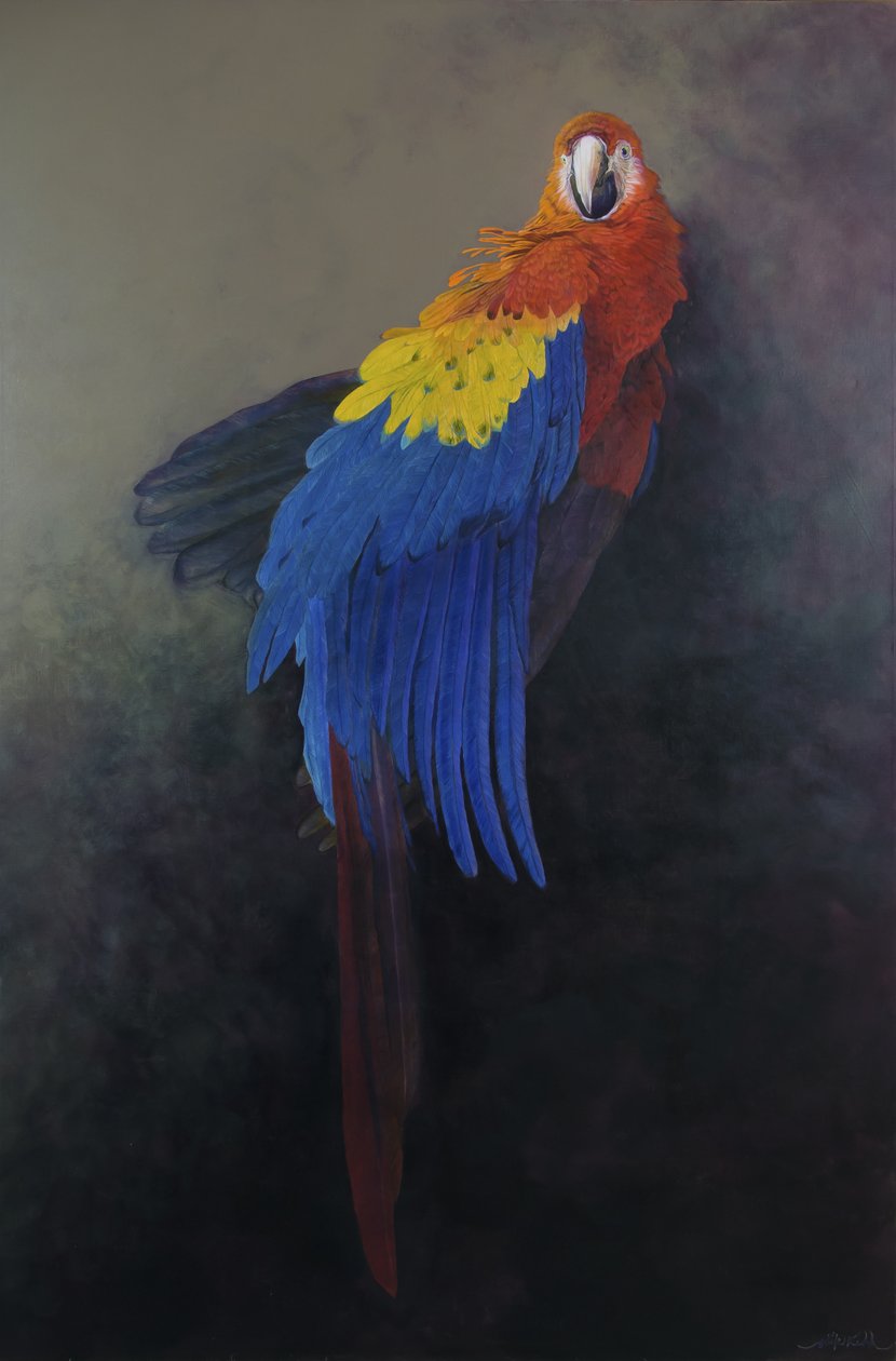 Scharlaken ara 3, 2014 (acryl op linnen) door Odile Kidd