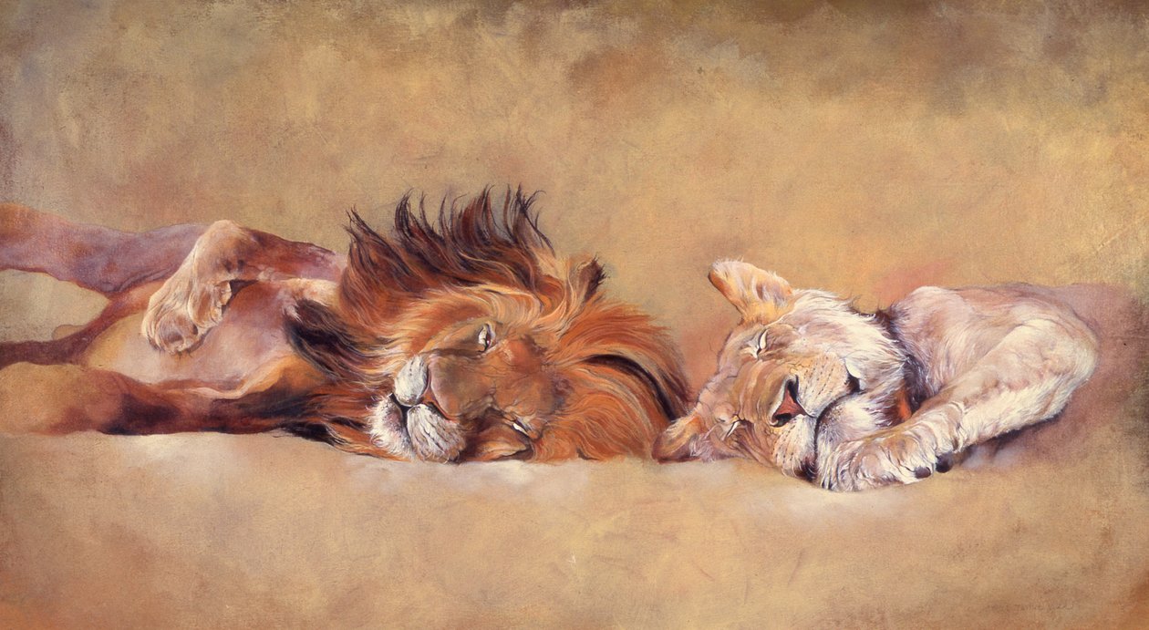 Siesta door Odile Kidd
