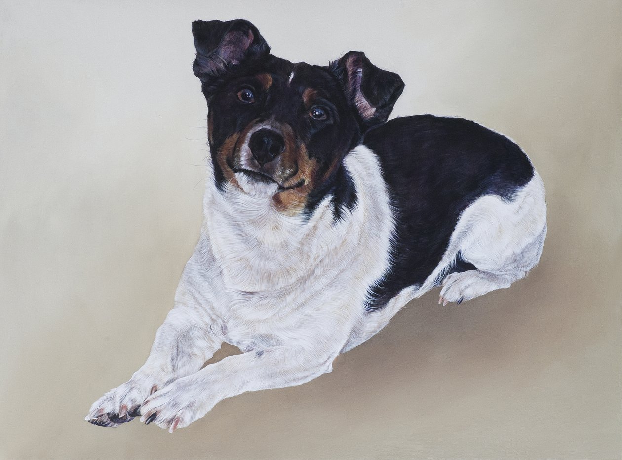 Spike, 2012 (acryl op hout) door Odile Kidd
