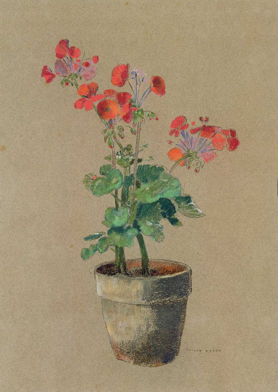 Geraniums in een pot door Odilon Redon