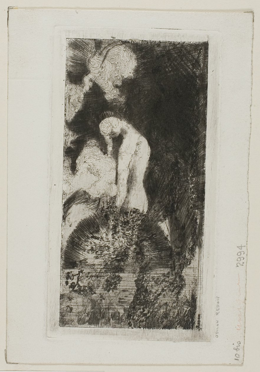 Bader door Odilon Redon