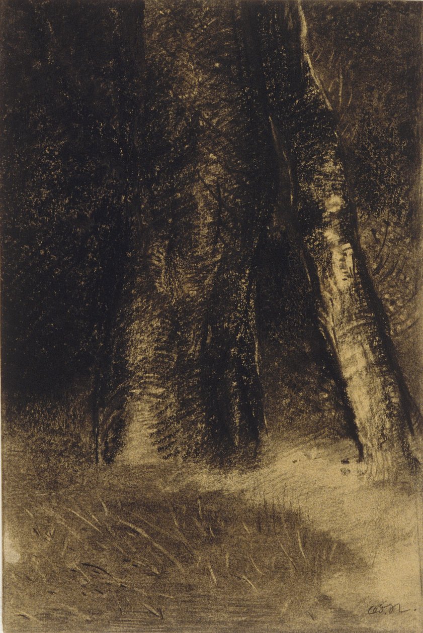 Schets van bomen door Odilon Redon