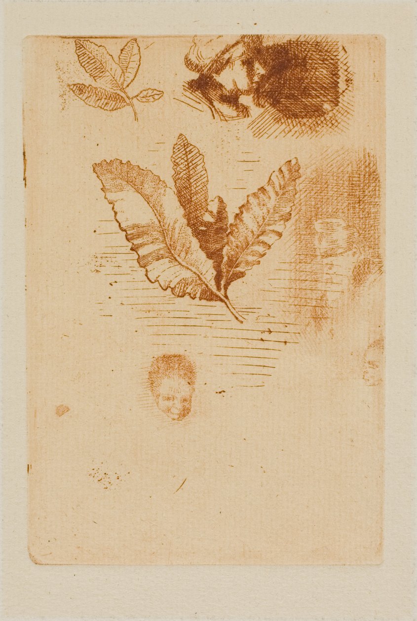 Schetsen door Odilon Redon