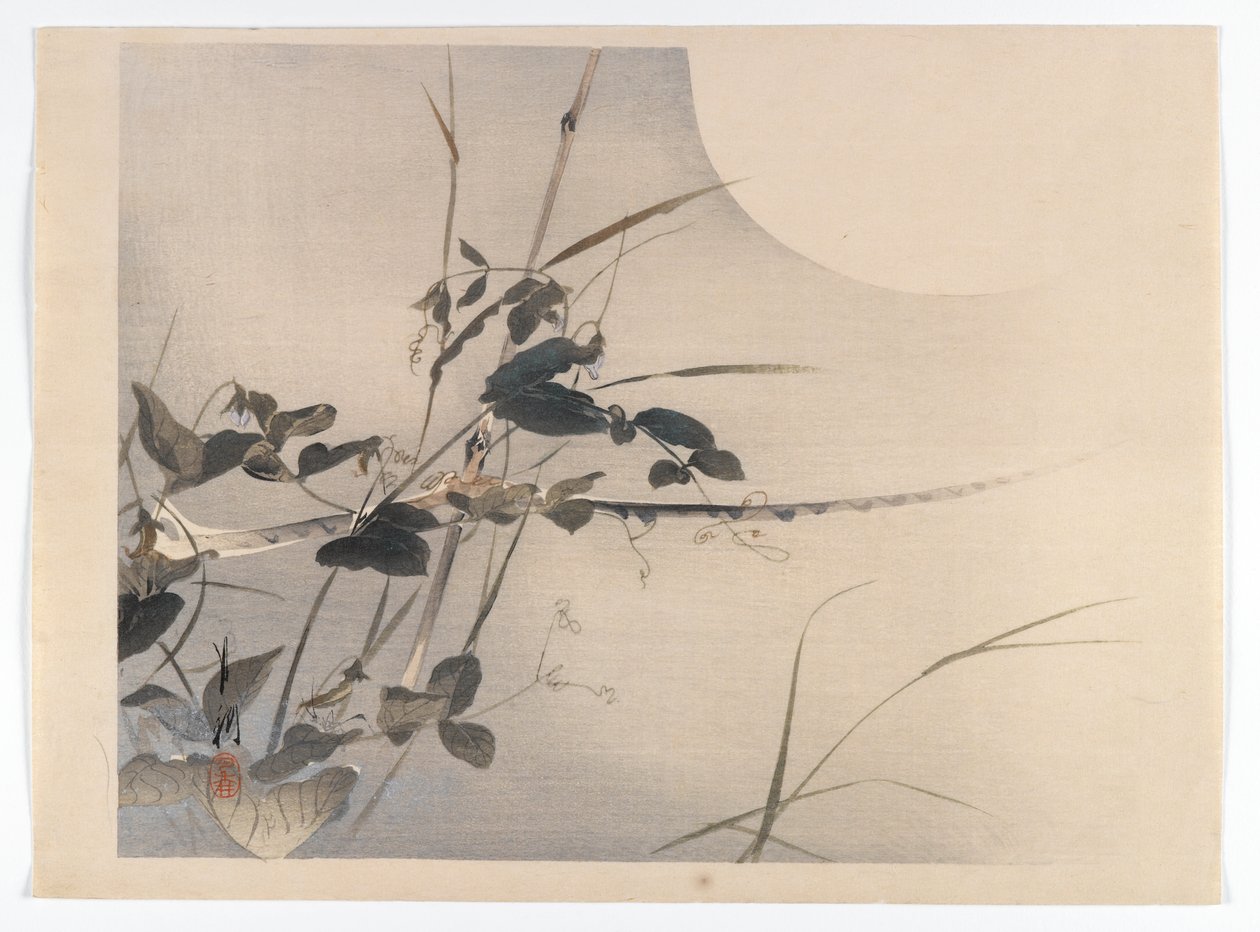 Maan en gebladerte, albumpagina uit een vogel- en bloemenboek (Kacho) door Ogata Gekko