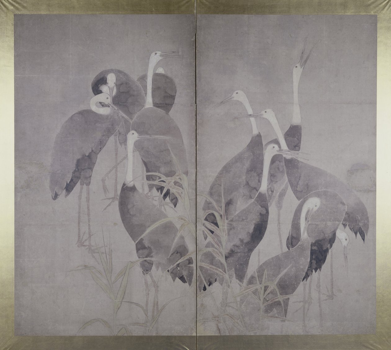 Elf vrouwelijke kraanvogels in droog rietbed, ca. 1700-50 door Ogata Korin