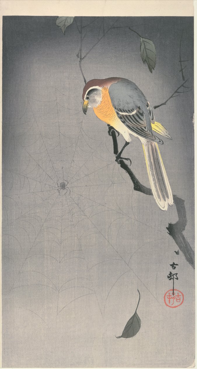 Vogel op een tak die een spin bekijkt door Ohara Koson