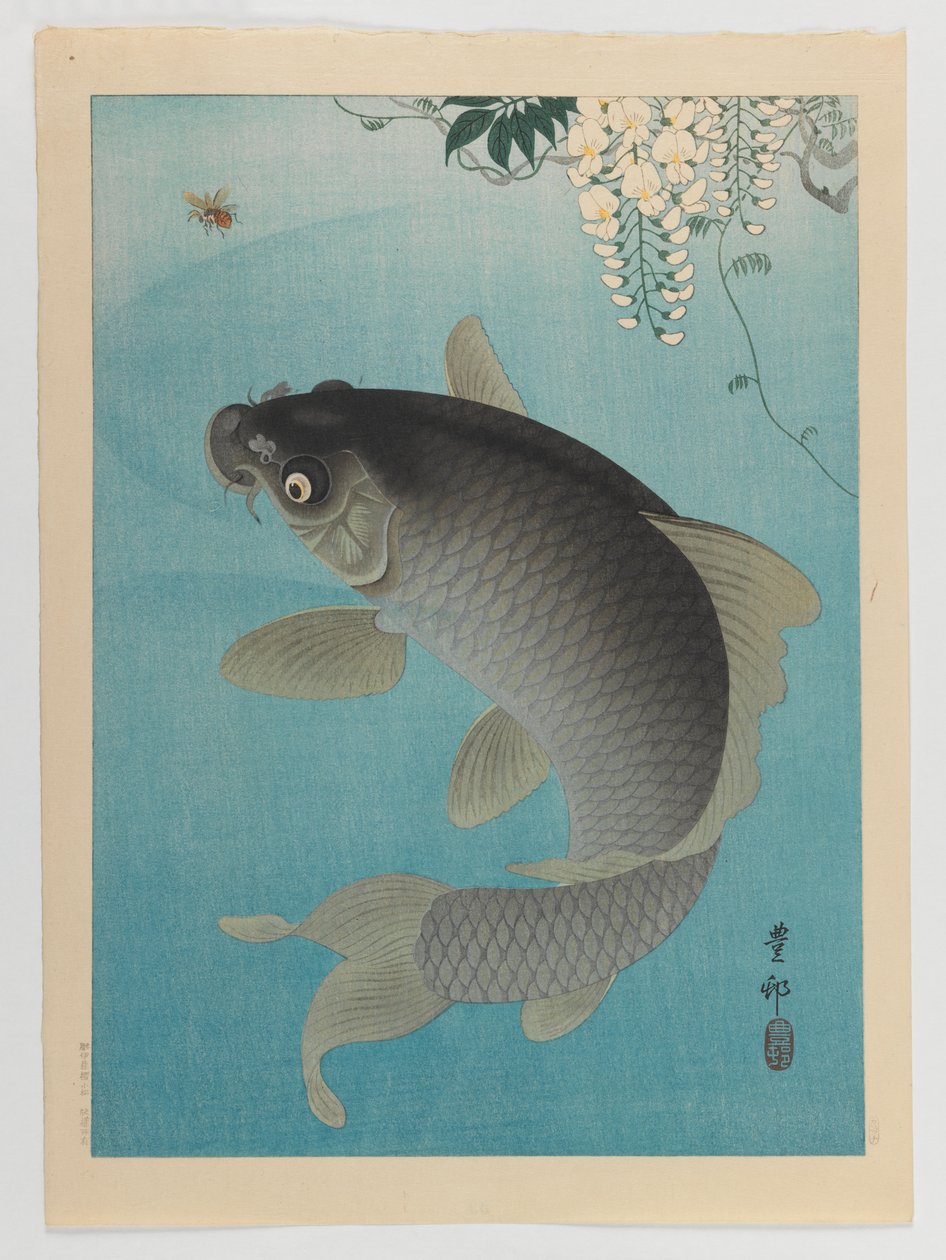 Karper onder blauwe regen, c.1935 door Ohara Koson