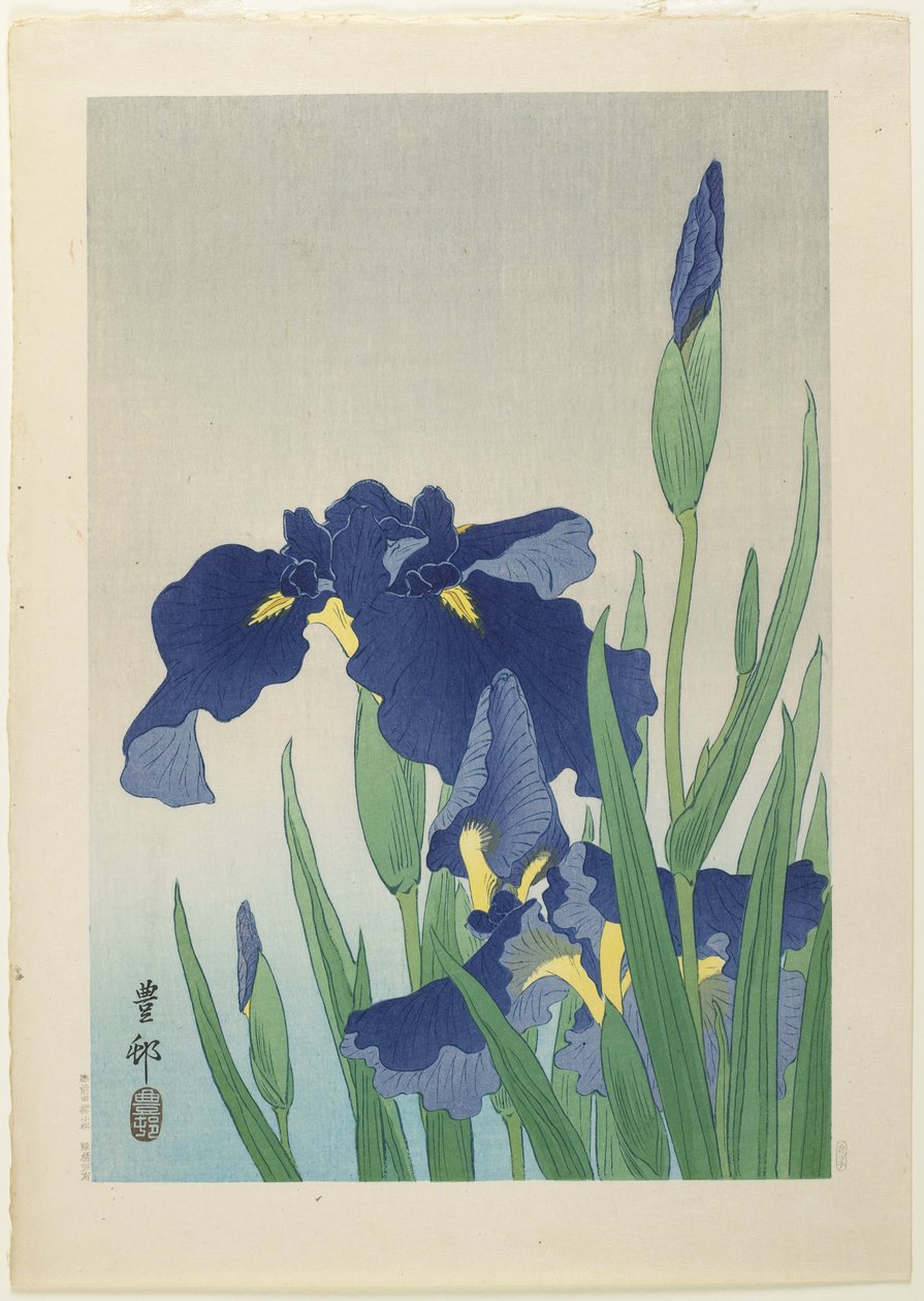 Iris, midden 20e eeuw door Ohara Koson
