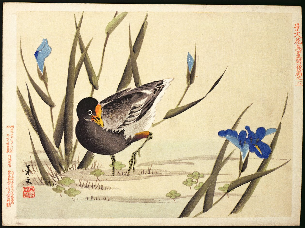Wader tussen riet door Ohara Koson
