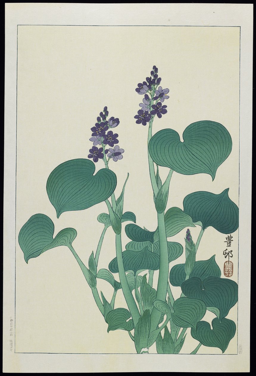 Waterstokroos, 1930s door Ohara Koson