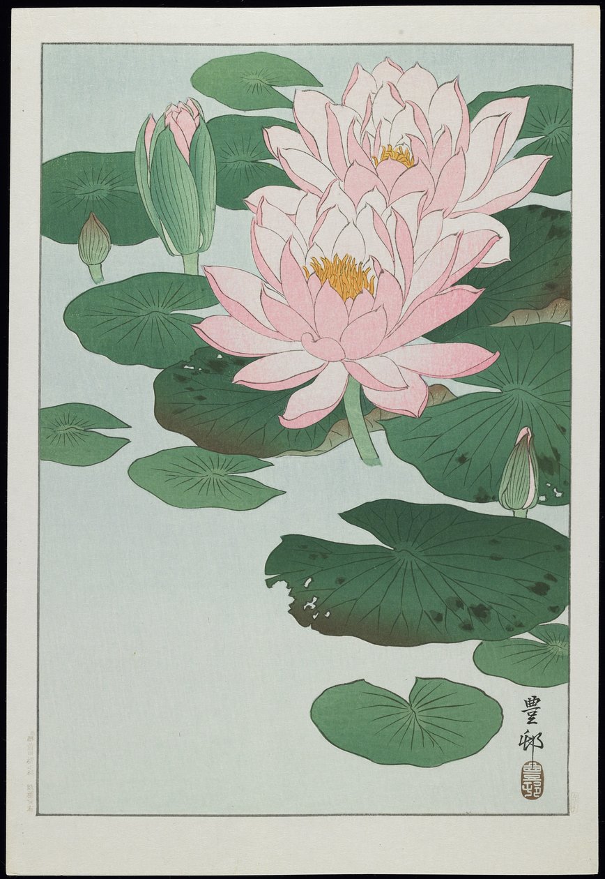 Waterlelie, 1930s door Ohara Koson